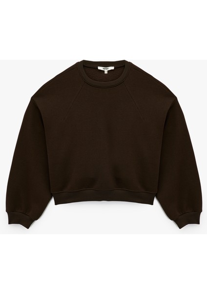 Regular Fit Üç Iplik Uzun Kollu Bisiklet Yaka Basic Sweatshirt