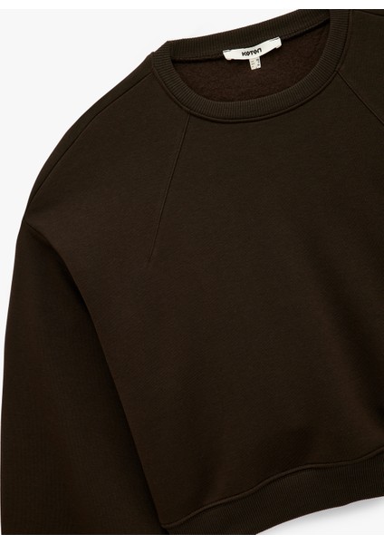 Regular Fit Üç Iplik Uzun Kollu Bisiklet Yaka Basic Sweatshirt modelleri