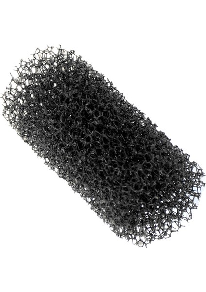 Kiwi Uyumlu Kcc 4320 Buharlı Halı Yıkama Makinesi Sünger Filtre - 2 Adet modelleri