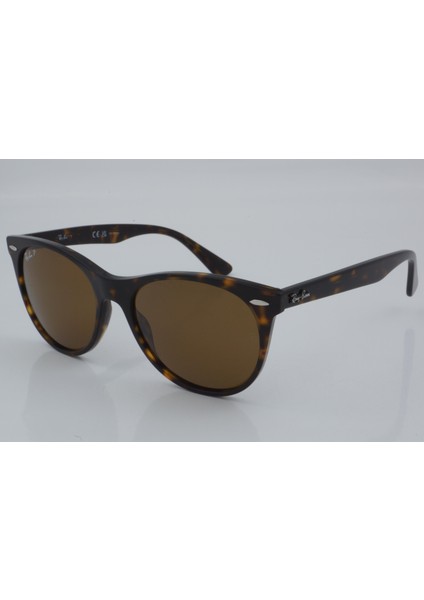 Rb 2185 902/57 55 - 01 Güneş Gözlüğü fiyatları