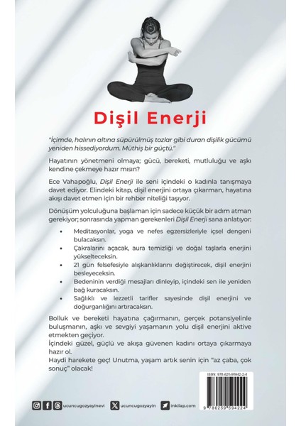 Dişil Enerji modelleri