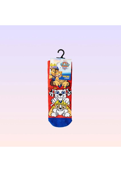 Paw Patrol Karakter Desenli Erkek Çocuk Çorabı 23-26