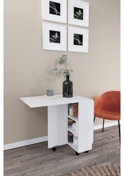 Ultra Flamingo Pratik Katlanır Portatif Masa Mutfak ve Yemek Masası modelleri