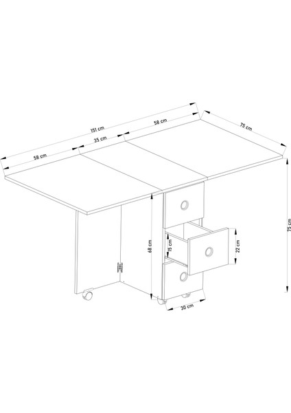 Lagertha Taşınabilir Katlanır Masa Mutfak ve Yemek Masası