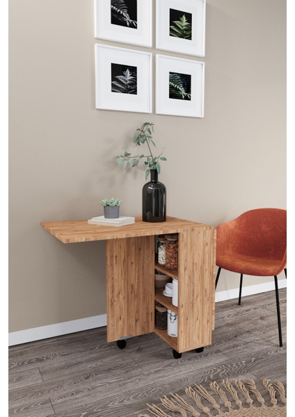 Ultra Flamingo Pratik Portatif Katlanır Masa Mutfak ve Yemek Masası modelleri