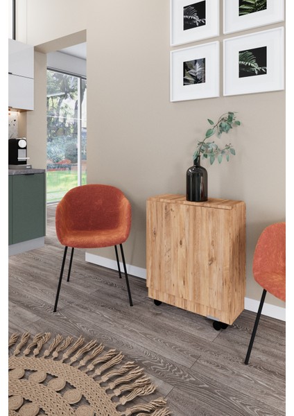 Ultra Flamingo Pratik Portatif Katlanır Masa Mutfak ve Yemek Masası fırsatları