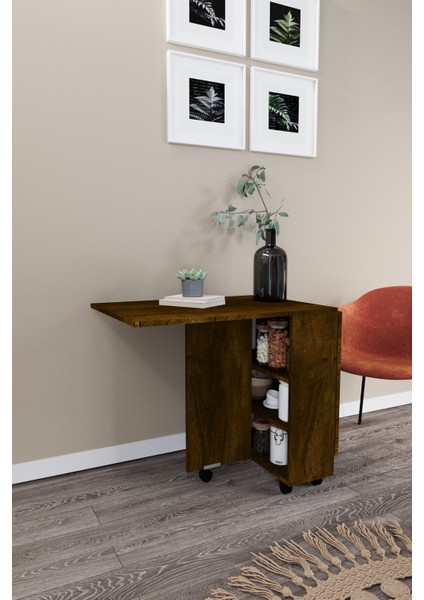 Ultra Flamingo Pratik Portatif Katlanır Masa Mutfak ve Yemek Masası modelleri