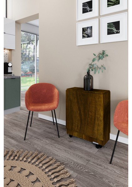 Ultra Flamingo Pratik Portatif Katlanır Masa Mutfak ve Yemek Masası fırsatları