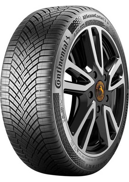 Allseasoncontact 2 205/55R16 91H M+S 3pmsf Otomobil 4 Mevsim Lastiği (Üretim Yılı: 2025)