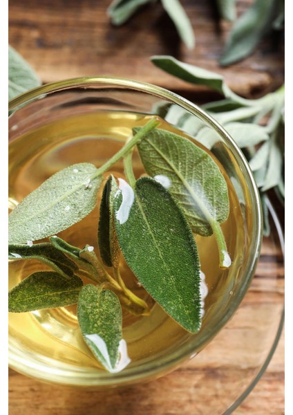 Ada Çayı Yağı 30 ml fiyatları