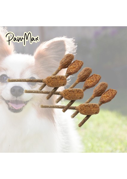 Steak Lollipop Köpek Ödül Kovası 300 G fiyatları