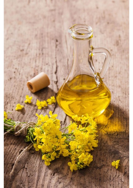 Sarı Kantaron Yağı 30 ml fiyatları