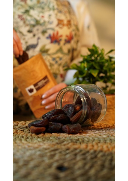 Organik Güneşte Kurutulmuş Kayısı | 100G modelleri