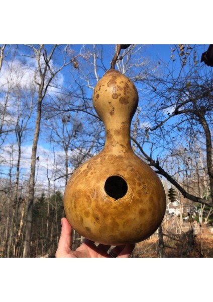 Kuşevi Sukabağı Tohumu Kuş Evi Yapımında Kullanılan modelleri