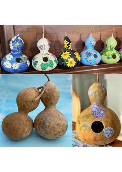 Kuşevi Sukabağı Tohumu Kuş Evi Yapımında Kullanılan