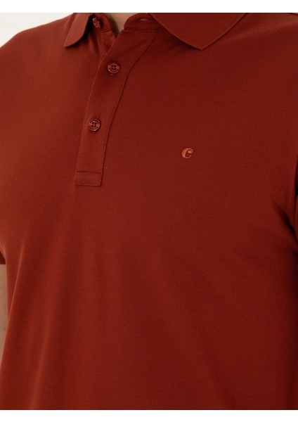 Erkek Kiremit Slim Fit Basic Tişört 50284769-VR031