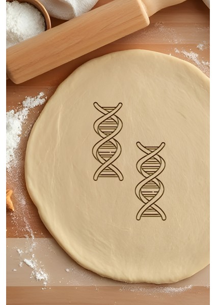 Dna Kurabiye Kalıbı, Hamur Şekillendirici, Bisküvi Kalıbı, Kolay Kesim Ucu