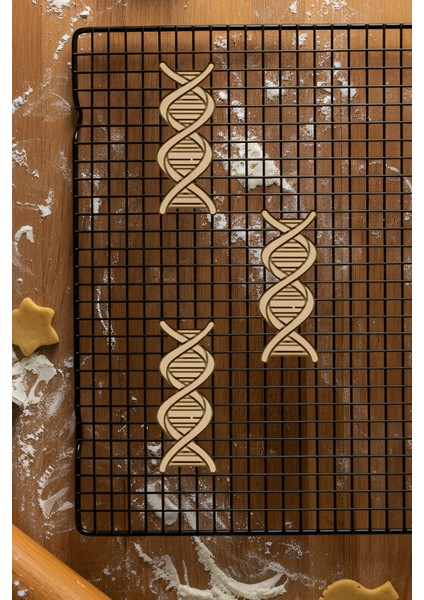 Dna Kurabiye Kalıbı, Hamur Şekillendirici, Bisküvi Kalıbı, Kolay Kesim Ucu fiyatları