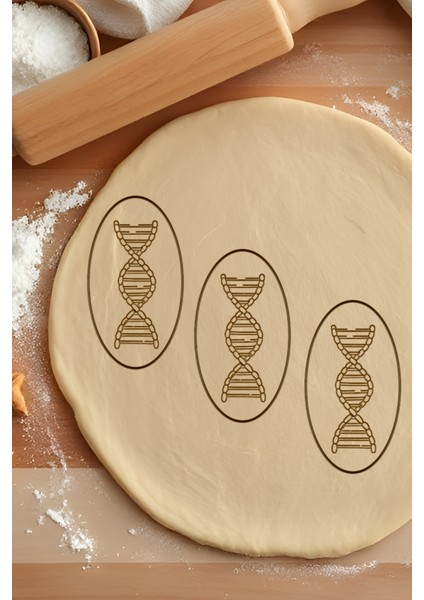 Dna Kurabiye Kalıbı, Hamur Şekillendirici, Bisküvi Kalıbı, Kolay Kesim Ucu