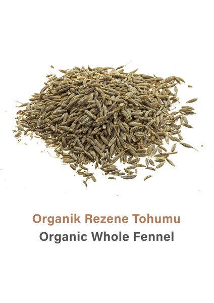 Rezene Tohumu | 85 gr modelleri