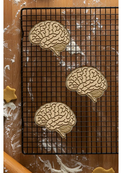 Beyin Kurabiye Kalıbı, Hamur Şekillendirici, Bisküvi Kalıbı, Kolay Kesim Ucu fiyatları