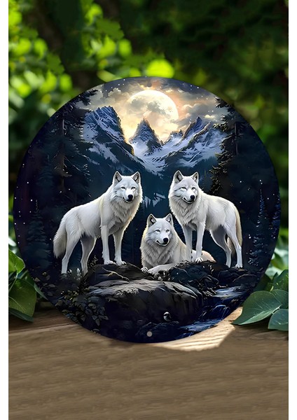 Kurt Temalı Uv Baskı Mdf Duvar Süsü – 33X33 cm & 20X20 cm DT221