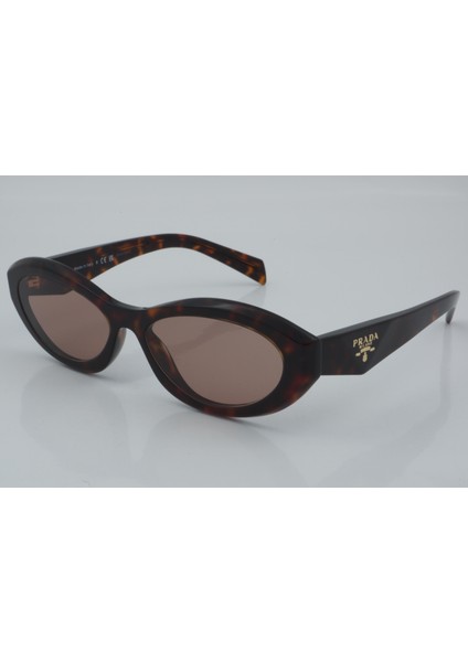 Spr 26Z 17N-60B 55 - 01 Güneş Gözlüğü fiyatları