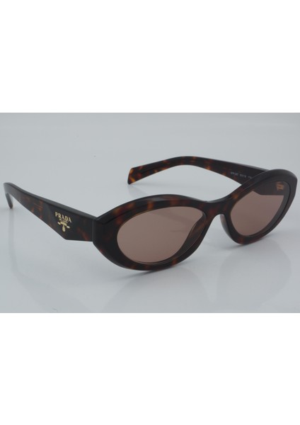 Spr 26Z 17N-60B 55 - 01 Güneş Gözlüğü modelleri