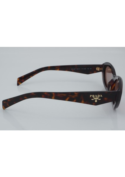 Spr 26Z 17N-60B 55 - 01 Güneş Gözlüğü fırsatları