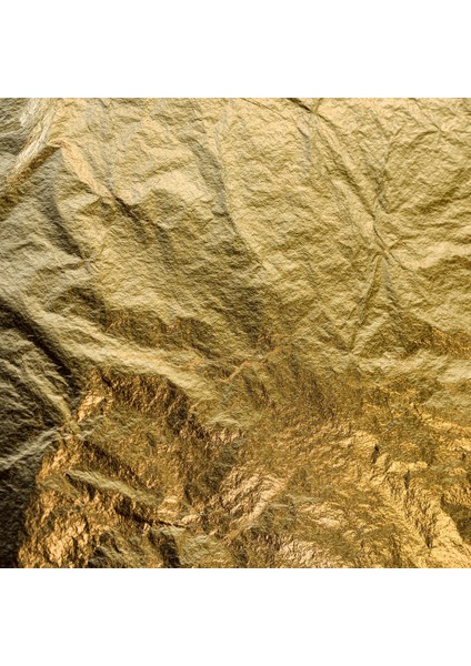 Yaprak Varak (5 Yaprak) 16X16CM Epoksi Takı Tırnak fiyatları