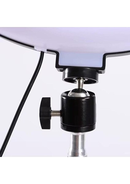 LED Ring Light Vlog/canlı Yayın Halka Işık – Tripodlu, Telefon Tutuculu, 3 Renk Modu, USB Kontrollü Masaüstü Set