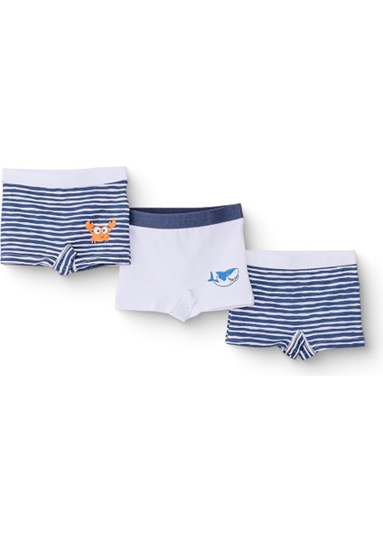 Erkek Bebek 3'lü Külot