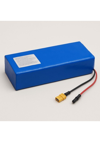 DC20 Elektrikli Bisiklet Orijinal Akü