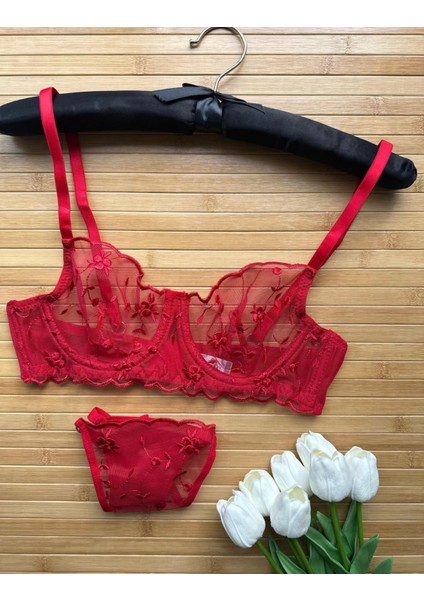 Kadın Kırmızı Nakış Işlemeli Transparan Iç Çamaşır Takımı indirimleri