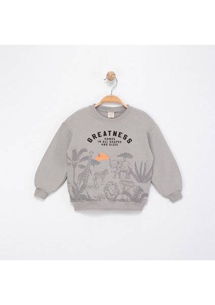 Erkek Çocuk Baskılı Sweatshirt fiyatları