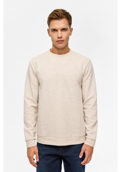 Bej Regular Düz Bisiklet Yaka Sweatshirt