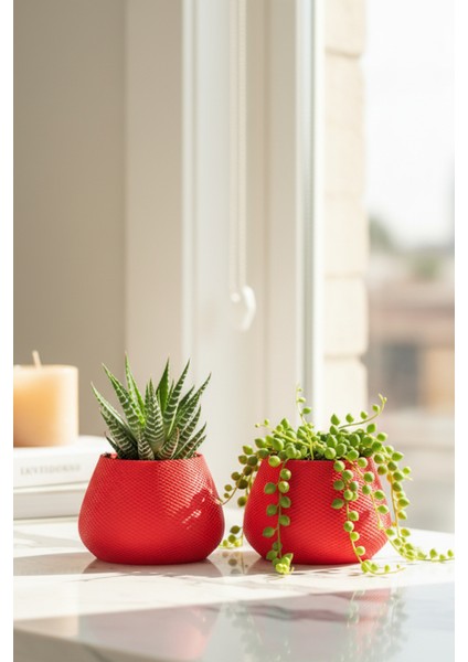 2’li Modern Saksı Seti, Dekoratif Saksı, Minimalist Saksı, Kırmızı, 12CM