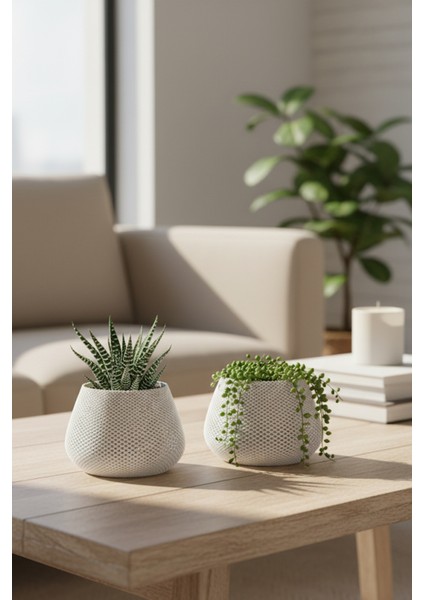 2’li Modern Saksı Seti, Dekoratif Saksı, Minimalist Saksı, Kırmızı, 12CM