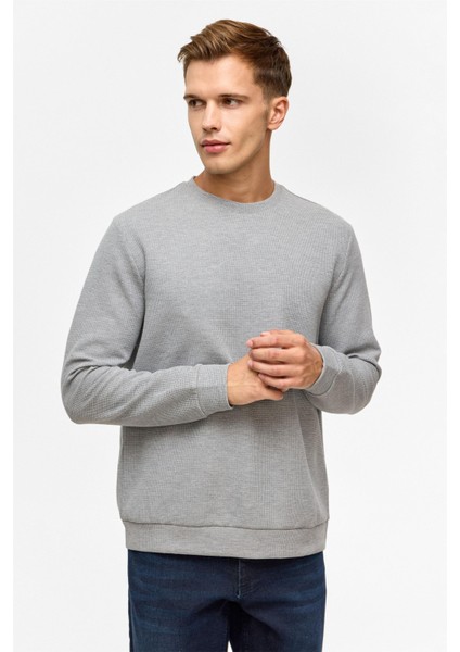 Gri Regular Düz Bisiklet Yaka Sweatshirt fiyatları