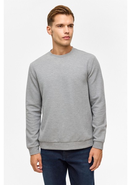 Gri Regular Düz Bisiklet Yaka Sweatshirt modelleri