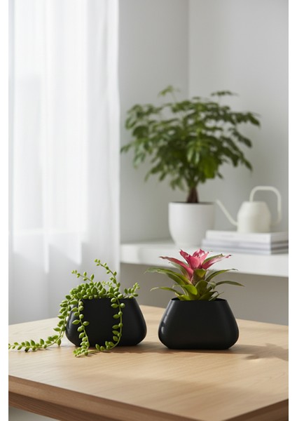 2’li Modern Saksı Seti, Dekoratif Saksı, Minimalist Saksı, Siyah, 12CM