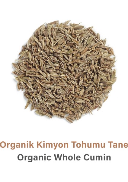 Kimyon Tohumu Tane | 50 gr fiyatları
