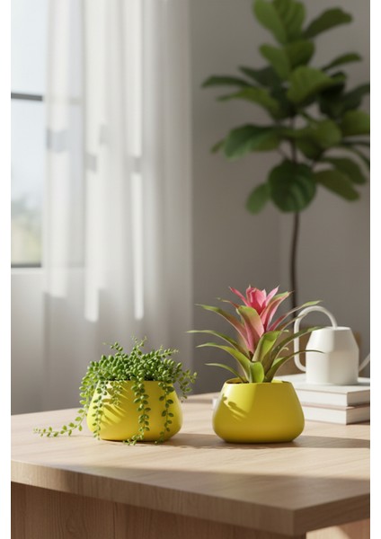 2’li Modern Saksı Seti, Dekoratif Saksı, Minimalist Saksı, Siyah, 12CM modelleri