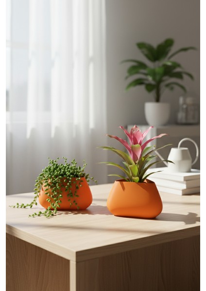 2’li Modern Saksı Seti, Dekoratif Saksı, Minimalist Saksı, Siyah, 12CM indirimleri