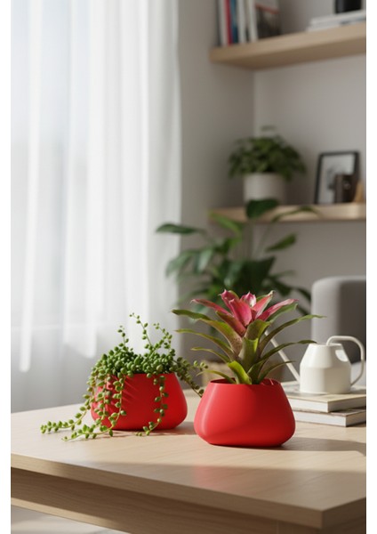 2’li Modern Saksı Seti, Dekoratif Saksı, Minimalist Saksı, Siyah, 12CM