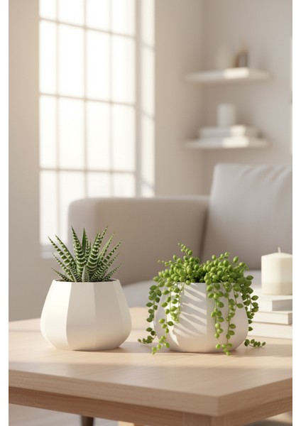 2’li Modern Saksı Seti, Dekoratif Saksı, Minimalist Saksı, Kırmızı, 12CM