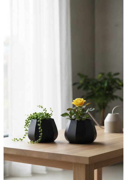 2’li Modern Saksı Seti, Dekoratif Saksı, Minimalist Saksı, Kırmızı, 12CM