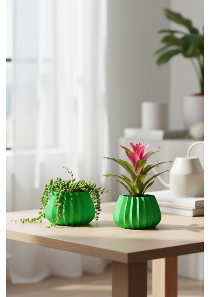 2’li Modern Saksı Seti, Dekoratif Saksı, Minimalist Saksı, Yeşil, 12CM