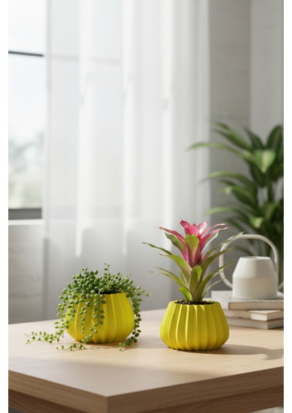 2’li Modern Saksı Seti, Dekoratif Saksı, Minimalist Saksı, Yeşil, 12CM fiyatları