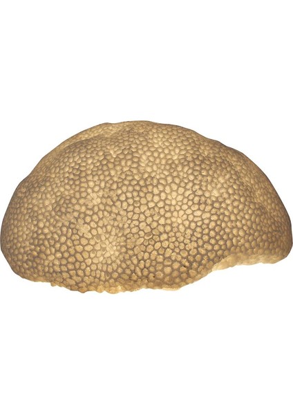 Polyester Deniz Sünger Masa Lambası GLR-15S6022LW